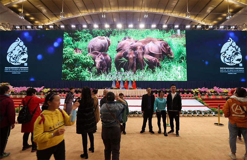 COP15ཡི་ཚོགས་ར་རིན་མེད་ངང་སྤྱི་དམངས་ལ་སྒོ་ཕྱེ་བ།