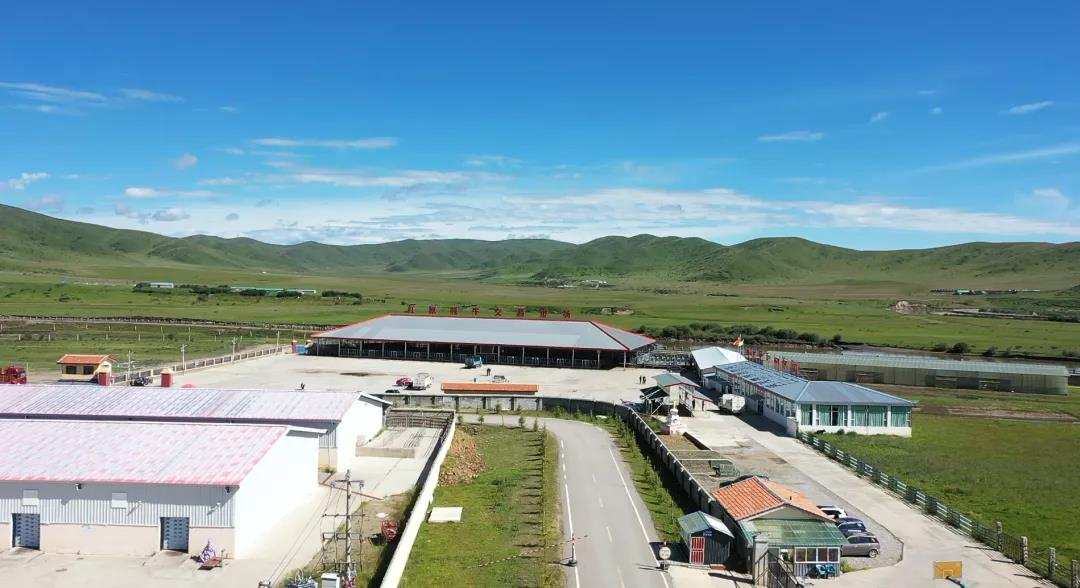 ཕྱུགས་ཟོག་ཉོ་ཚོང་ཁྲོམ་ར་རུ།། ཁྱད་ལྡན་ཐོན་ལས་དར་སྤེལ་བཏང་།།