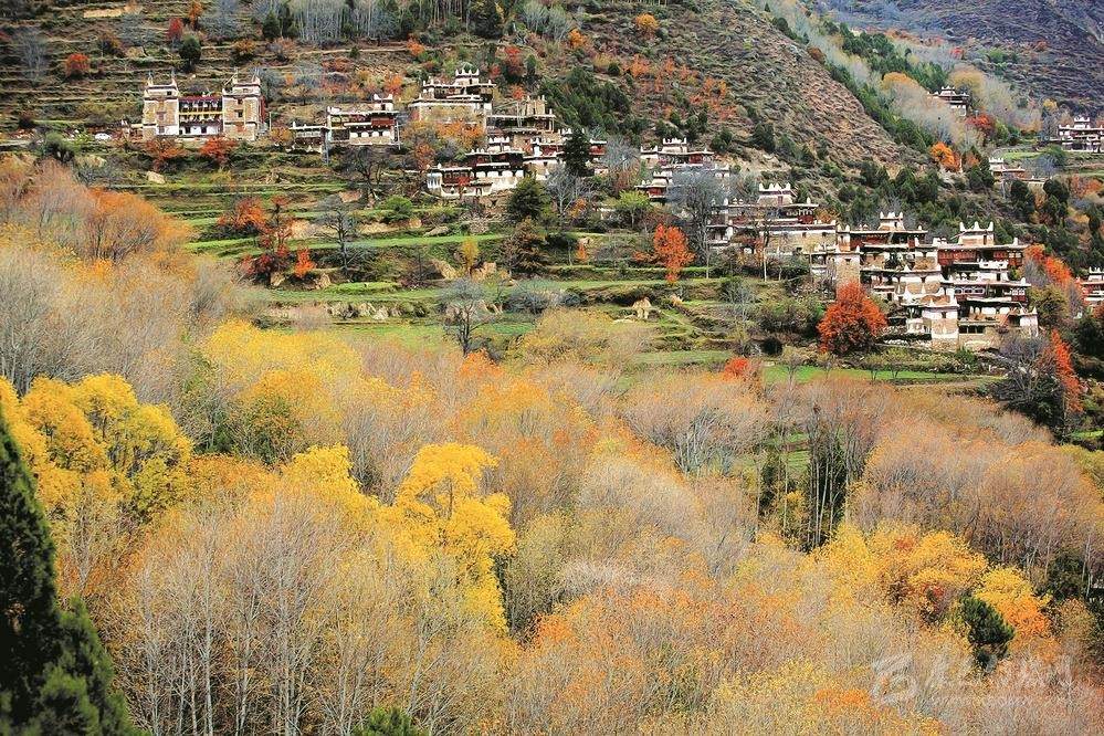 དཀར་མཛེས་ཁུལ་གྱི་སྟོན་ལྗོངས།