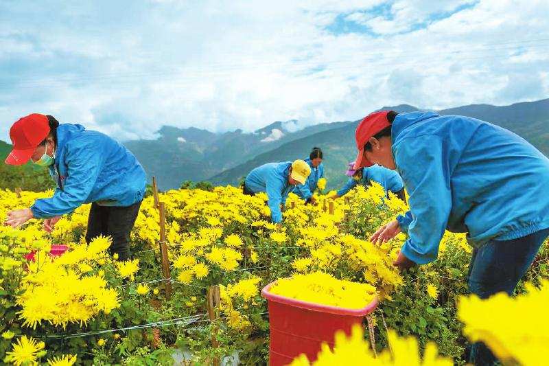 ཕན་ཀྲི་ཧྭ་གྲོང་ཁྱེར་གྱིས་མུ་ལི་རྫོང་ལ་ལོ11རིང་ཁ་གཏད་རོགས་སྐྱོར་བྱས།