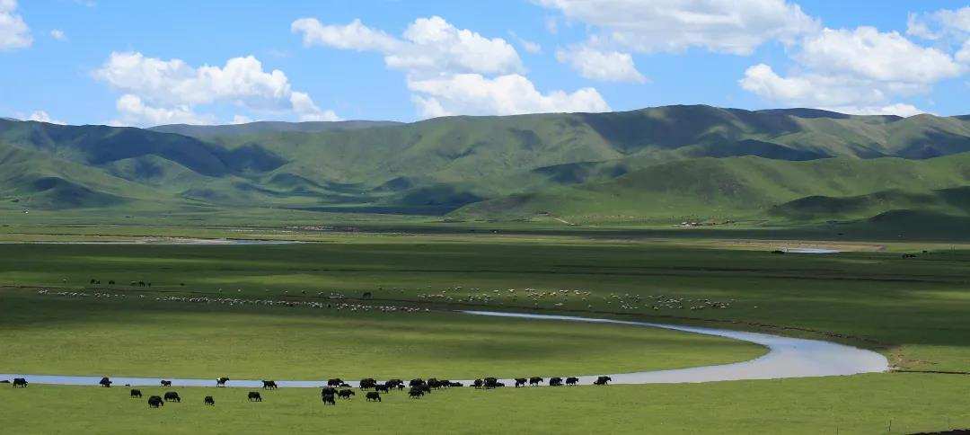རྔ་ཁུལ་གྱི་སྐྱེ་ཁམས་ཁྱིམ་གཞིས་འཛུགས་སྐྲུན་བྱས་པའི་གནས་ཚུལ།