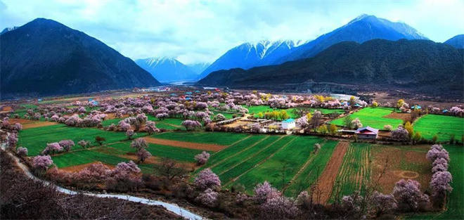 དམངས་འཚོ་རྩ་བར་བཟུང་ནས་བདེ་སྐྱིད་ལྡན་པའི་འཚོ་བ་གསར་པ་བཏོད།