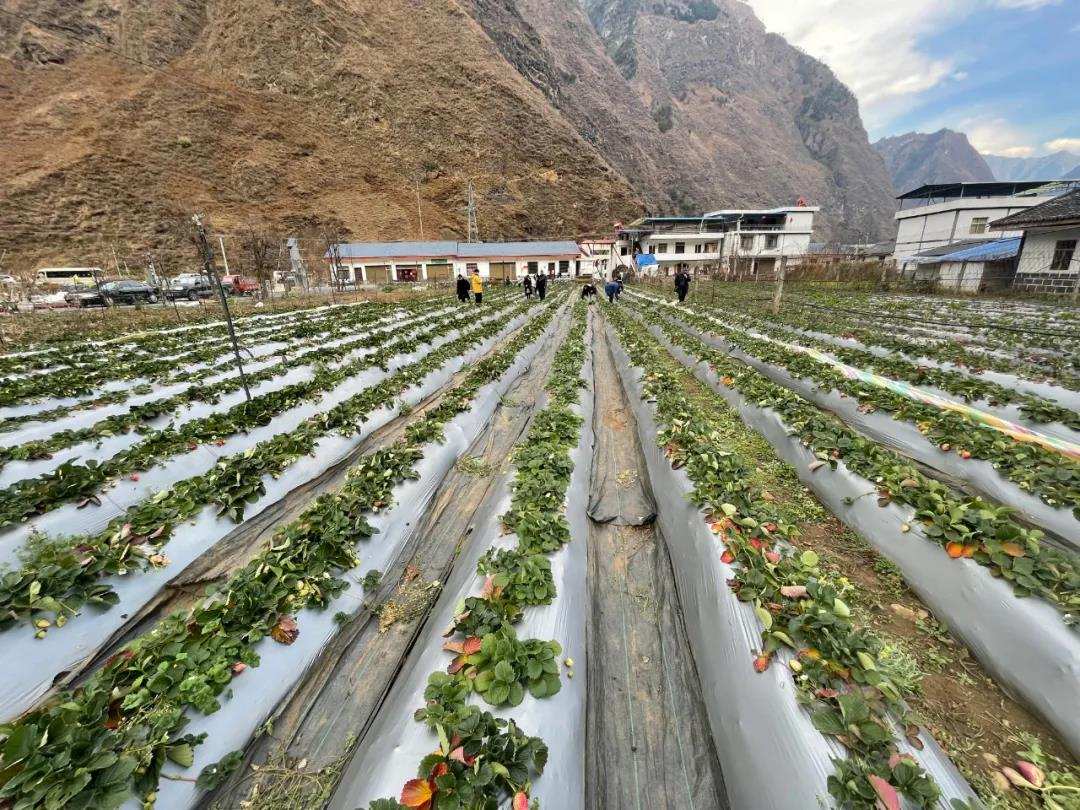 གྲོང་གསེབ་ཐོན་ལས་འཕེལ་རྒྱས་ལས་གྲོང་གསེབ་དཔལ་འབྱོར་དར་རྒྱས་བྱུང་།