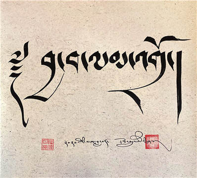 ༄༅།། དོན་འགྲུབ་ཚེ་རིང་གི་ཡིག་གཟུགས་བརྩམས་ཆོས་བདམས་བཀོད།