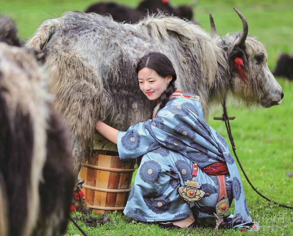 ཁྲོ་ལའི་འདབས་ཀྱི་བདེ་སྐྱིད་ཀྱི་རྣམ་པ་གསར་པ།