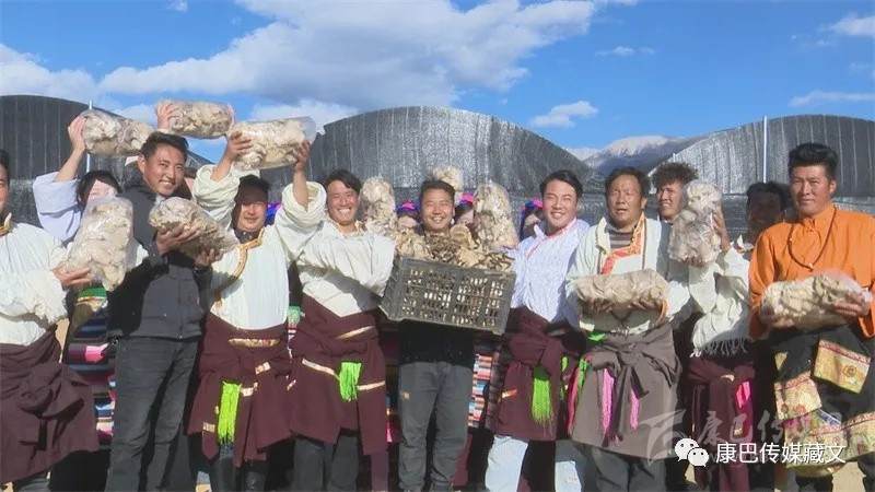 འབའ་ཐང་རྫོང་གིས་ཤ་མོ་ཐོན་ལས་ལ་བརྟེན་ནས་ཡུལ་སྡེ་དར་རྒྱས་གཏོང་།