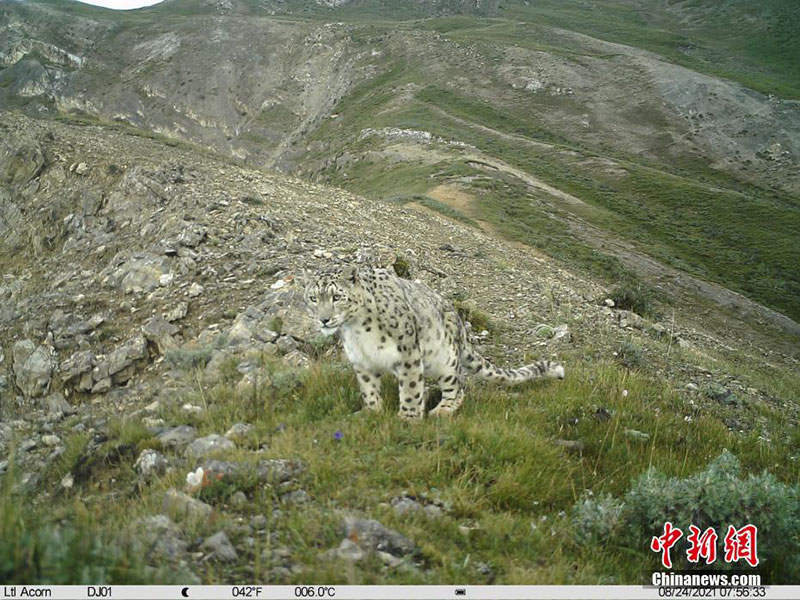 ནག་ཆུའི་ཁོངས་ཀྱི་རྫོང་དང་ཆུས་11ལ་གསའ་ཁྱབ་ཡོད། 