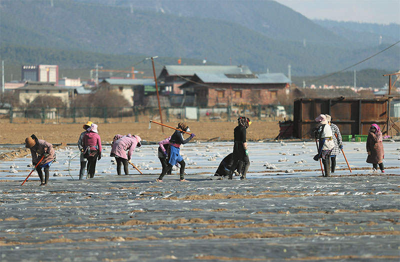 ཡུན་ནན་བདེ་ཆེན་དུ་དཔྱིད་ལས་བྲེལ་ཟིང་ཆེ་བ།