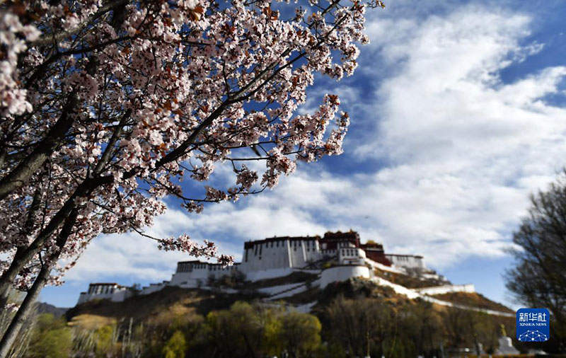 ཕོ་བྲང་པོ་ཏ་ལའི་མཐའ་འཁོར་གྱི་མེ་ཏོག་རབ་ཏུ་བཞད་པ། 