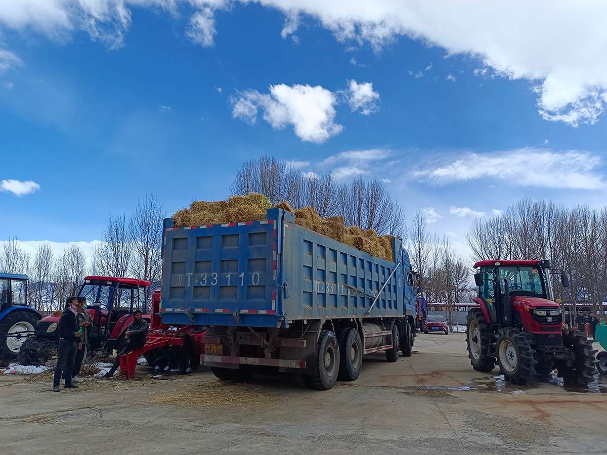 ལི་ཐང་རྫོང་གིས་རྩྭ་སྔོན་སྐམ་པོ་ཏུན་150སྤྲད་ནས་གནོད་འགོག་ཕྱུགས་སྲུང་བྱས།