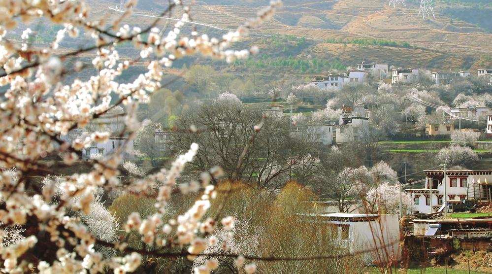 ཁམ་བུ་མེ་ཏོག་གི་སྦས་ལུང་། གནས་མཆོག་རྫོང་རྩ་གྲོང་རྡལ།