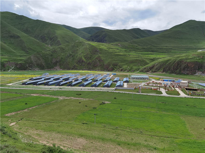 སྡེ་དགེ་རྫོང་གིས་སྔོ་ཚལ་བཏབ་ནས་དམངས་ཀྱི་ཡོང་སྒོ་འཕར་བར་རོགས་འདེགས་བྱས། 
