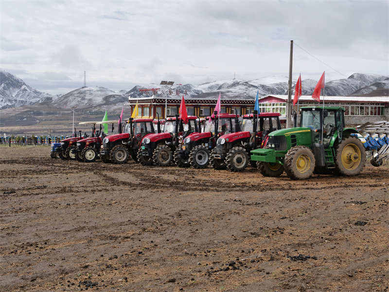རྟའུ་རྫོང་གིས་ཞིང་ནང་ལྟ་སྐུལ་བྱས་ནས་དཔྱིད་རྨོས་ ཐོན་སྐྱེད་འགན་ལེན་བྱས། 