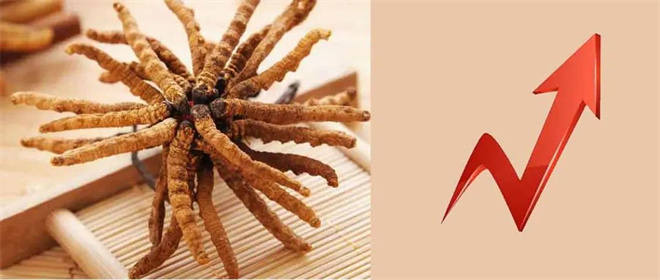 དབྱར་རྩྭ་དགུན་འབུའི་རིན་གོང་20%ཡན་འཕར་འདུག