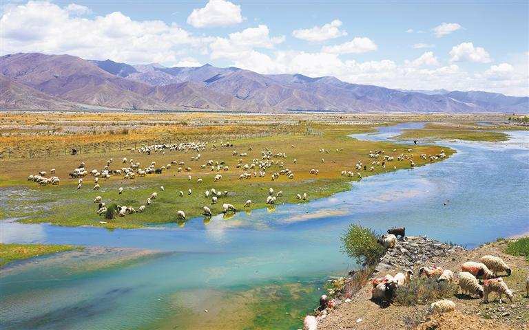 སྐྱེ་ཁམས་ཤེས་དཔལ་འཛུགས་སྐྱོང་ལ་སྐུལ་འདེད་བཏང་བ།