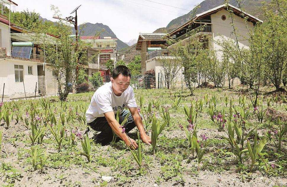 ལས་ལ་བརྩོན་ཞིང་བསམ་གཞིག་བྱེད་མཁས་ན།། རང་ཉིད་ཕྱུག་པོར་འགྱུར་ལ་དཀའ་ཁག་ཅི།།