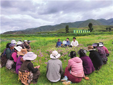   ཞིང་ཁའི་ཏང་གི་སློབ་ཁྲིད་ལ།  མང་ཚོགས་རང་མོས་ནང་དུ་ཞུགས།