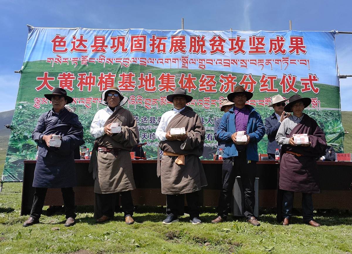 གསེར་རྟ་རྫོང་གི་གྲོང་སྡེ36གིས་མཉམ་སྡེབ་ཁེ་སྤོགས་བགོས།