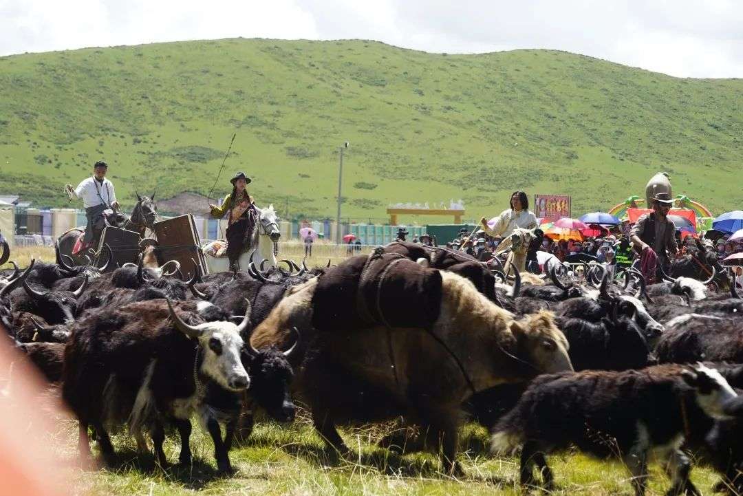 ཧུང་ཡོན་ལ་སི་ཁྲོན་ནོར་གནག་རིག་གནས་ཀྱི་ཕ་ས་ཞེས་པའི་མཚན་སྙན་བསྩལ།