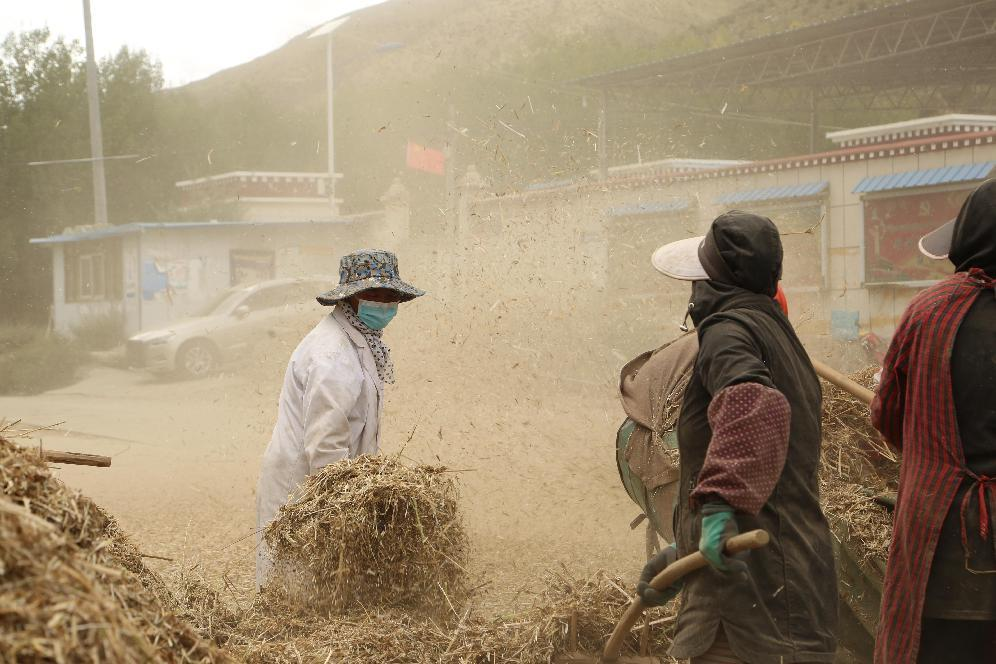 ད་ལོ་ལོ་ལེགས་ཡག་པོ་འདུག