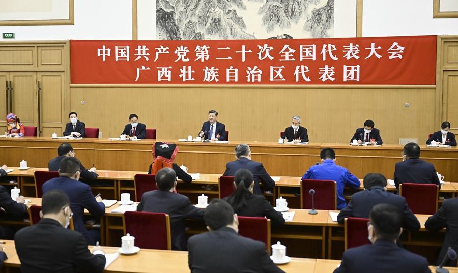 ཞི་ཅིན་ཕིང་ཀོང་ཞིའི་འཐུས་ཚབ་ཚོགས་པའི་གྲོས་བསྡུར་ནང་ཞུགས།