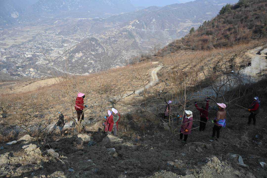 དུས་ཚོད་འགོར་འགྱངས་མི་བྱེད་པར་དཔྱིད་རྨོད་ལས་ལ་བྲེལ།