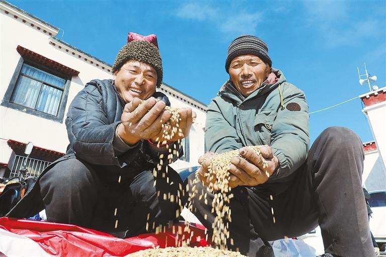 དཔྱིད་གྲབས་ལས་ལ་བྲེལ།