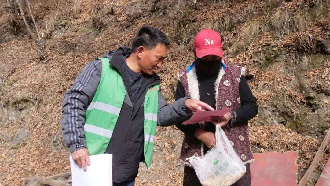 དཔྱིད་རྨོད་ལས་ལ་འབད་ཞོར།། ནགས་ཚལ་མེ་འགོག་བྱེད་དོ།།