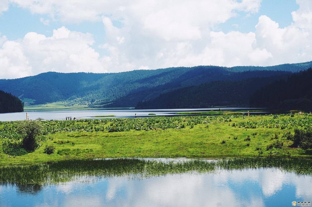 ལྗང་མདོག་མཛེས་སྡུག་གི་སེམས་ཀྱི་ཉི་ཟླ།