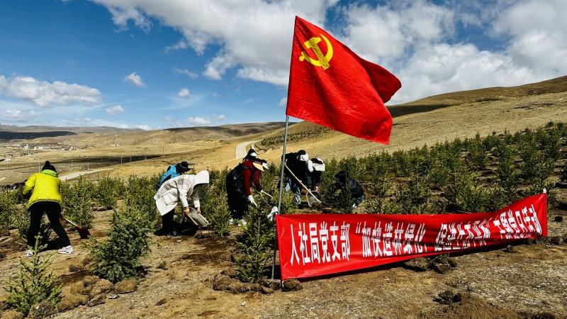 ལི་ཐང་རྫོང་གིས་སྡོང་ཕྲུག་ཁྲི་གསུམ་ལྷག་བཙུགས།