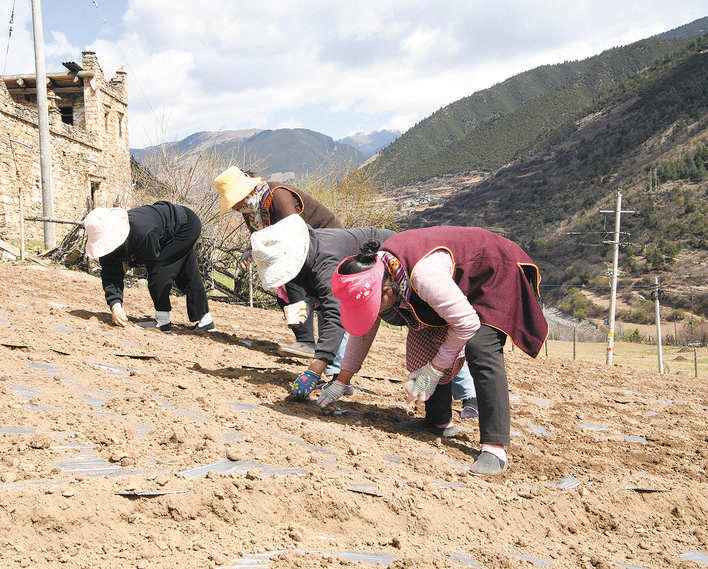 སྔོ་ཚོད་འདེབས་འཛུགས་ལ་བརྟེན་ནས་ཡོང་སྒོ་འཕར་སྣོན་བྱུང་བ།