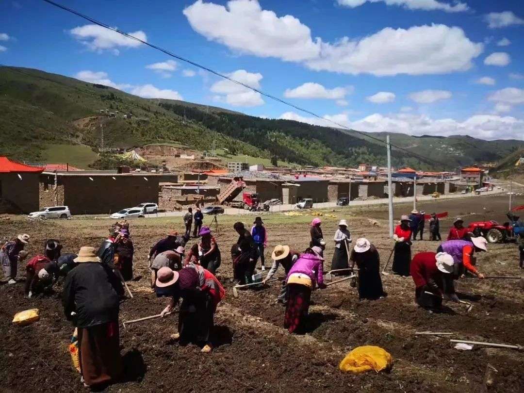 མཉམ་སྡེབ་དཔལ་འབྱོར་སྟོབས་ཆེ་བ།། གྲོང་གསེབ་འཕེལ་བའི་གཞི་མ་ཡིན།།