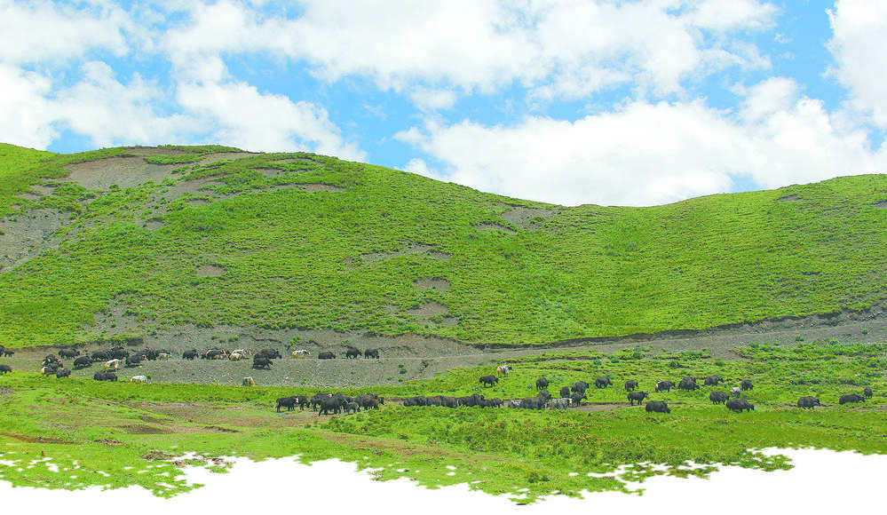 ཡུས་ཧྲུའུ་ཁུལ་ནང་ཆེན་རྫོང་གིས་ལྗང་མདོག་གི་སྐྱེ་ཁམས་ཞིང་ཕྱུགས་ལས་ཀྱི་མིང་བྱང་གསར་བ་བཏོད་པ།