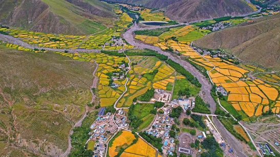 གྲོང་ཚོ་ཚང་མར་གཞུང་ལམ་ཤར་གཏོང་ཐུབ་པ།