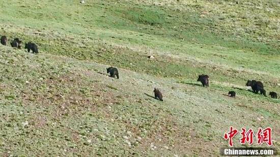 ས་ཆ་འདི་ནས་དྲེད་མོ11མཉམ་དུ་པར་བླངས་འདུག 