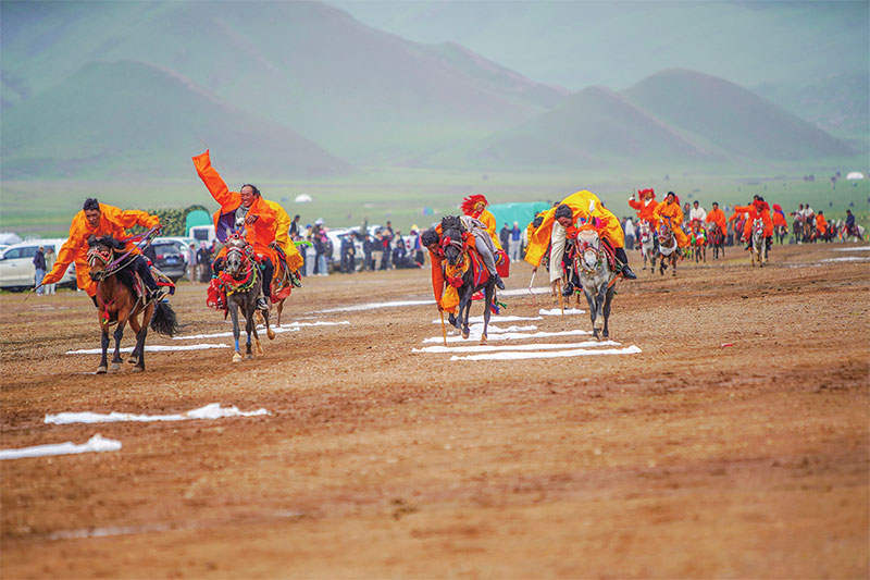 སྲོལ་རྒྱུན་རྟ་རྒྱུག་འགྲན་བསྡུར་འཁྲུག་ཆ་དོད། མང་ཚོགས་རིག་གནས་འཚོ་བ་ཕུན་སུམ་ཚོགས།