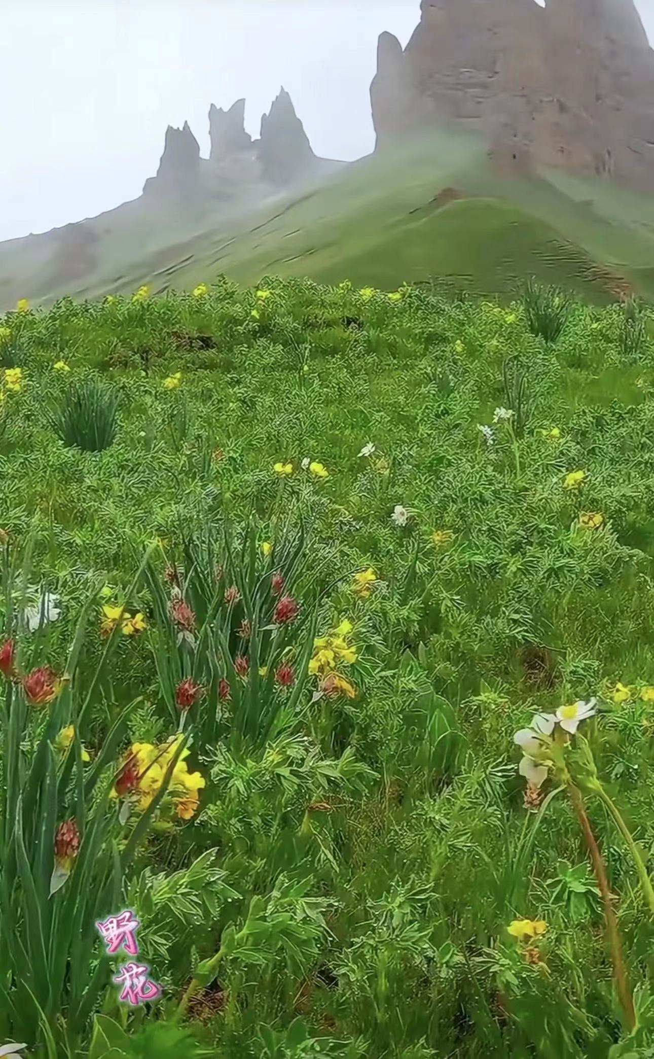 ༄༅།།འབྲུག་མོས་བླངས་པའི་གླུ།